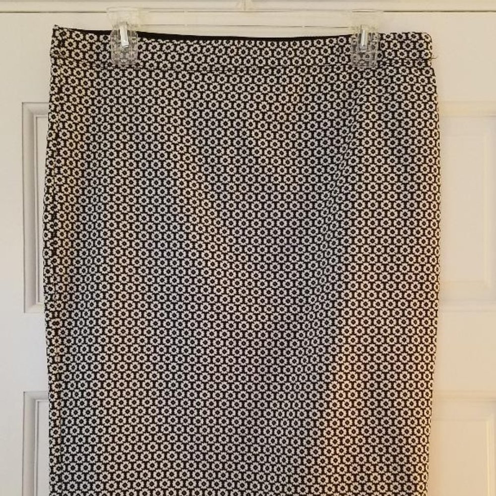 Max Studio Skirt
